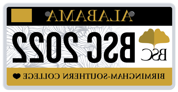 bsc-car-tag-2022-01.png